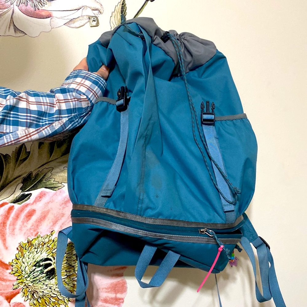 Patagonia Backpack - image 3